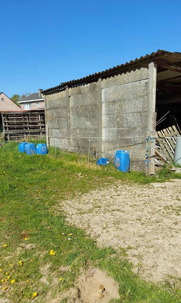 schuilhok weidedieren, Dieren en Toebehoren, Runderen