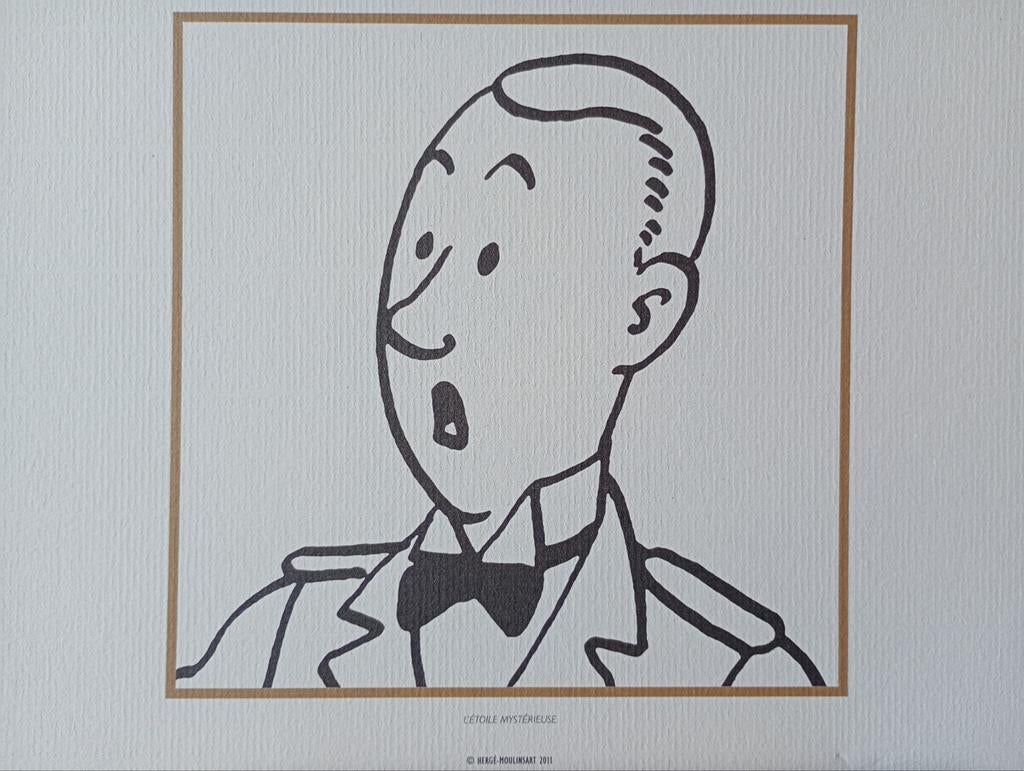 TinTin, Kuifje lithografie, Antiek en Kunst, Kunst | Litho's en Zeefdrukken, Ophalen of Verzenden