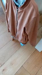 communie jasjes, Enfants & Bébés, Vêtements enfant | Taille 128, Enlèvement, Neuf, Garçon, Ensemble