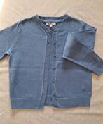 Gilets meisjes maat 128, Ophalen of Verzenden, Zo goed als nieuw, Meisje