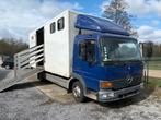Mercedes 815, Auto's, Mercedes-Benz, Diesel, Particulier, Te koop