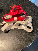 Hondentuigje voor puppie of kleine hond, Dieren en Toebehoren, Ophalen, Zo goed als nieuw