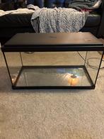 Compleet aquarium aquatlantis 60l, Dieren en Toebehoren, Ophalen of Verzenden, Zo goed als nieuw, Leeg aquarium