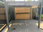 Pergola 3x3m, Tuin en Terras, Overkappingen, Ophalen, Zo goed als nieuw
