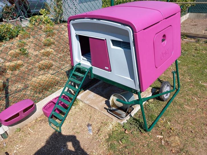 Omlet: eglu cube kippenhok en stalen inloopren (2 3 2 m), Dieren en Toebehoren, Pluimvee | Toebehoren, Zo goed als nieuw, Ophalen
