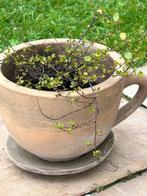 Terracotta plantenpot bloempot - terras of tuin, Tuin en Terras, Terracotta, Gebruikt, Tuin, Ophalen