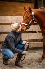 Belle jument quarter horse de 2 ans, Animaux & Accessoires, Chevaux, Non dressé, Jument, Moins de 160 cm, Cheval western