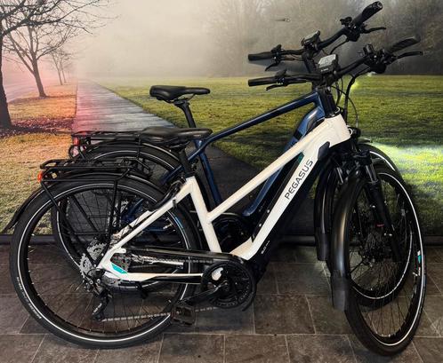 SET Pegasus Elektrische fietsen met BOSCH Performance CX, Fietsen en Brommers, Elektrische fietsen, Zo goed als nieuw, Overige merken