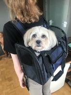 hondenrugzak, Dieren en Toebehoren, Ophalen, Zo goed als nieuw