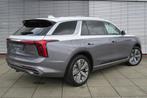 Hongqi E-HS9 President 99 kWh (automatique), Cuir, Argent ou Gris, E-HS9, Entreprise
