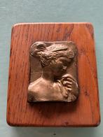 Plaque en bronze dans un cadre en bois., Enlèvement ou Envoi