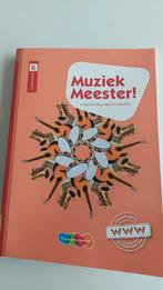 Rinze van der Lei - Muziek Meester!, Nieuw, Rinze van der Lei; Lieuwe Noordam; Frans Haverkort, Ophalen of Verzenden, Muziek