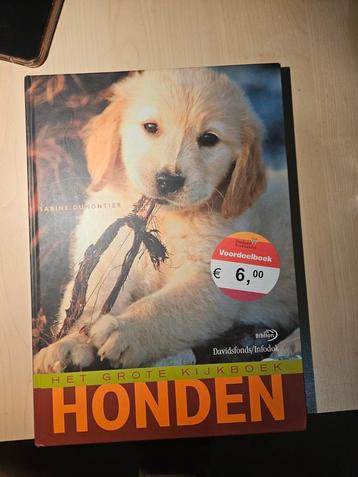 S. Dumontier - Honden beschikbaar voor biedingen