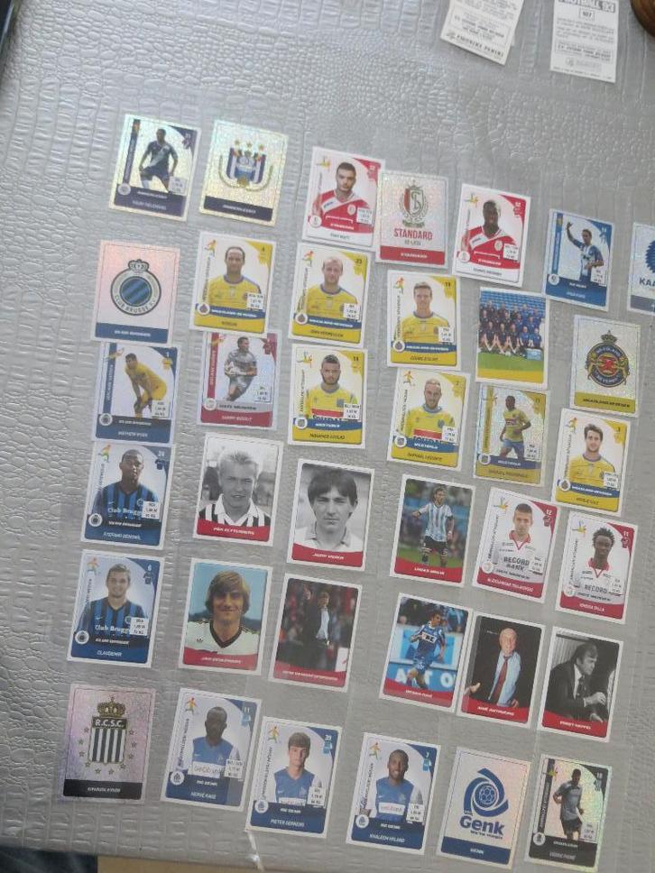 Panini Pro League 2015 allemaal erg zeldzaam, Hobby en Vrije tijd, Stickers en Plaatjes, Zo goed als nieuw, Ophalen of Verzenden