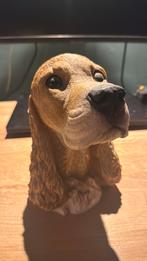 Castagna hondenbeeldje, Ophalen