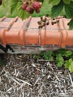 Dakpannen, nokpannen, Tuin en Terras, Overige Tuin en Terras, Ophalen, Gebruikt