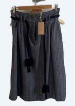 Nieuwe sessun rok, Ophalen of Verzenden, Nieuw, Maat 36 (S)