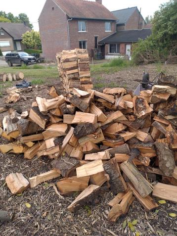 Brandhout gezaagd en gekloven  beschikbaar voor biedingen