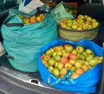 Jus de pomme 100% bio, Enlèvement