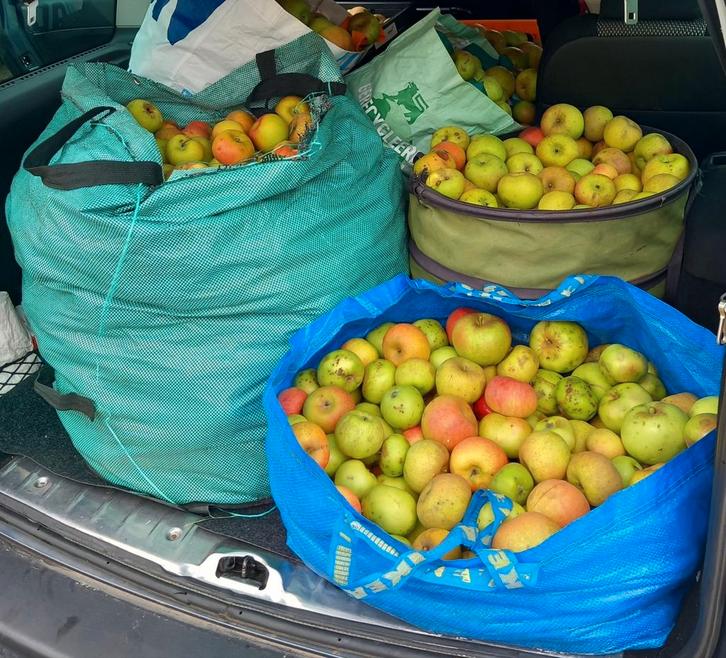 Jus de pomme 100% bio, Diversen, Levensmiddelen, Ophalen