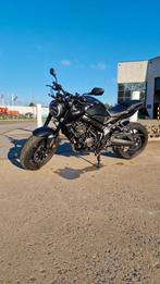 Honda Cb650r 09/23 Quickshifter 7200km, Motoren, Motoren | Honda, Particulier