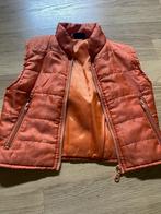 Bodywarmer, Ophalen, Zo goed als nieuw