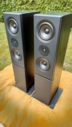 Linn Kaber, vintage high-end speakers in keurige staat!, Overige merken, Front, Rear of Stereo speakers, Zo goed als nieuw, 60 tot 120 watt
