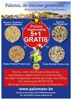 Vogelvoeding aan fabrieksprijzen, Dieren en Toebehoren, Vogels | Kanaries