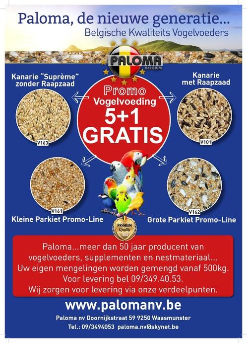 Vogelvoeding aan fabrieksprijzen, Dieren en Toebehoren, Vogels | Kanaries