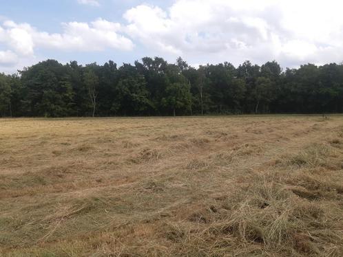 Hooi, Dieren en Toebehoren, Dierenvoeding, Ophalen