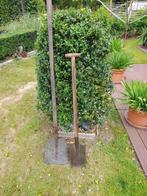 Spade(topkwaliteit Polet) Met schop., Tuin en Terras, Ophalen, Zo goed als nieuw, Schop