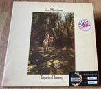 LP Van Morrison - Tupelo Honey, Comme neuf, Enlèvement ou Envoi