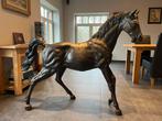 bronzen veulen / paard werkelijke grootte, Antiek en Kunst, Ophalen, Brons