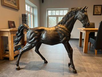 bronzen veulen / paard werkelijke grootte beschikbaar voor biedingen