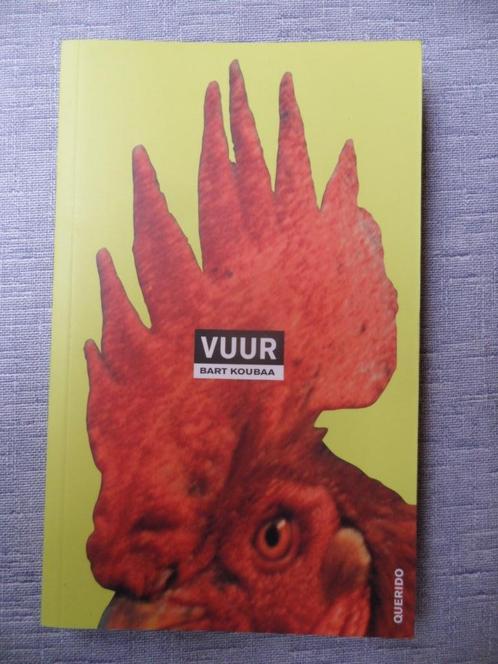 vuur ( bart roubaa ), Boeken, Literatuur, Zo goed als nieuw, Verzenden