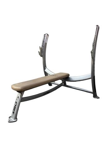 Cybex Flat Bench Press | kracht | bankdruk | beschikbaar voor biedingen