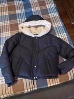 Nieuwe Holister winterjas, Kleding | Dames, Nieuw, Blauw, Hollister, Maat 36 (S)