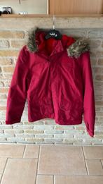 Jas jack Wolfskin maat small, Kleding | Dames, Wintersportkleding, Ophalen, Zo goed als nieuw, Jack