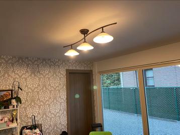 Mooie lamp, Huis en Inrichting, Ophalen, Zo goed als nieuw