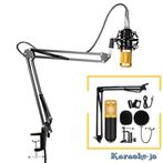 Studio Condensator Microfoon set compleet, Arm, Kabel Etc., Musique & Instruments, Microphones, Micro studio, Enlèvement ou Envoi