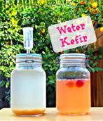 Kefir Champagne Waterkefir verse probiotica kefir korrels, Ophalen