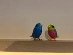 Digibirds duo, Ophalen of Verzenden, Zo goed als nieuw, Jongen of Meisje