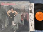 the dictators (go girl crazy, binnenhoes, punk, usa,), Cd's en Dvd's, Ophalen of Verzenden