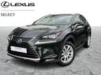 Lexus NX 300H Executive Line, Auto's, 114 kW, Euro 6, 2494 cc, Zwart