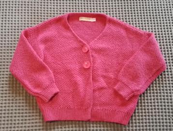 Trui Someone 110 / 5 jaar beschikbaar voor biedingen