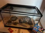 terrarium voor klein reptiel, Dieren en Toebehoren, Ophalen, Zo goed als nieuw, Terrarium of Paludarium