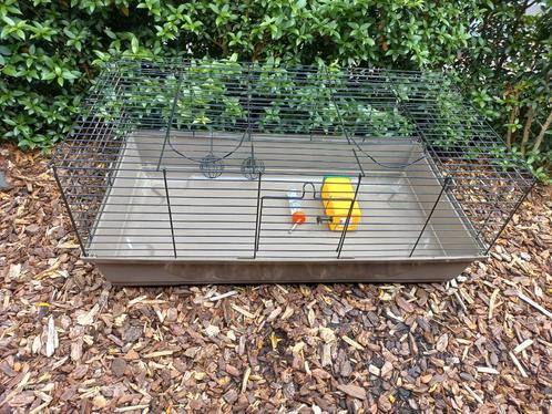 Kooi voor konijn of cavia's, Dieren en Toebehoren, Knaagdieren en Konijnen | Hokken en Kooien, Zo goed als nieuw, Kooi, Cavia