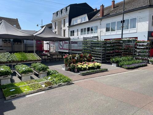 Markthandel Bloemen & Planten, Zakelijke goederen, Exploitaties en Overnames