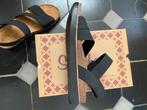 Skechers sandalen - nieuw, Ophalen, Skechers, Zwart, Nieuw