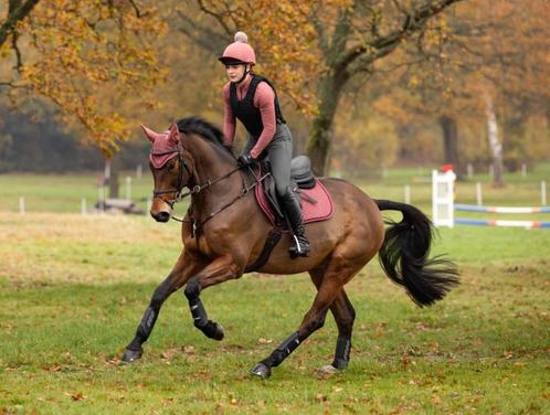 LeMieux Suede cc spring dekje Orchid SALE!, Dieren en Toebehoren, Paarden en Pony's | Dekens en Dekjes, Nieuw, Dekje, Ophalen of Verzenden